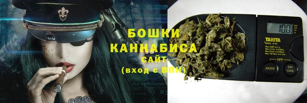 хмурый Арсеньев