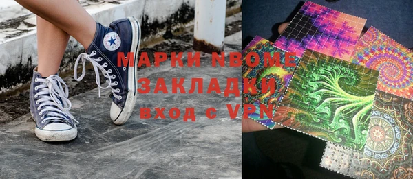 гашик Алексин
