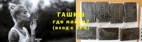 гашик Алексин