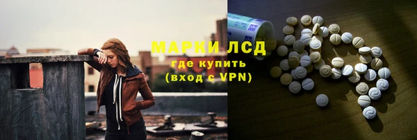 гашик Алексин