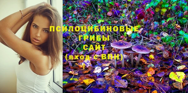 спайс Алексеевка