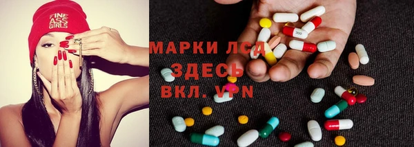 гашик Алексин
