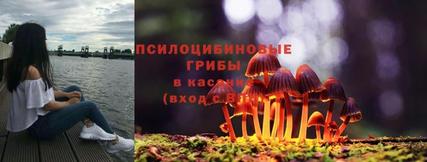 хмурый Арсеньев