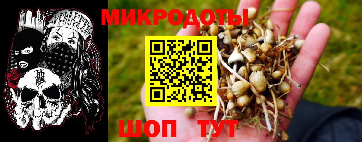 Сибай  Галлюциногенные грибы Cubensis  Вход с VPN 